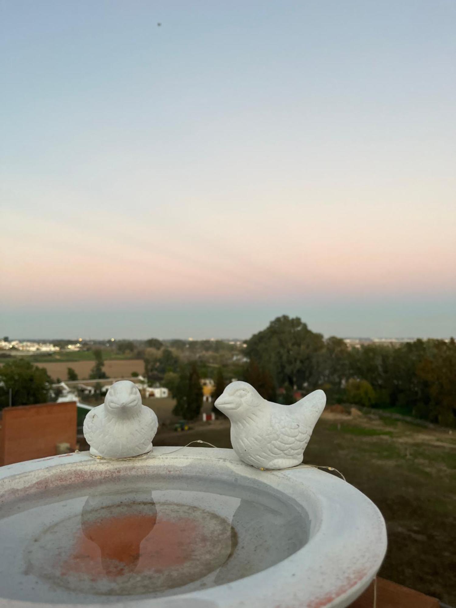 Apartment Estudio Palmillas *